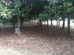 -蜀冈西峰生态公园