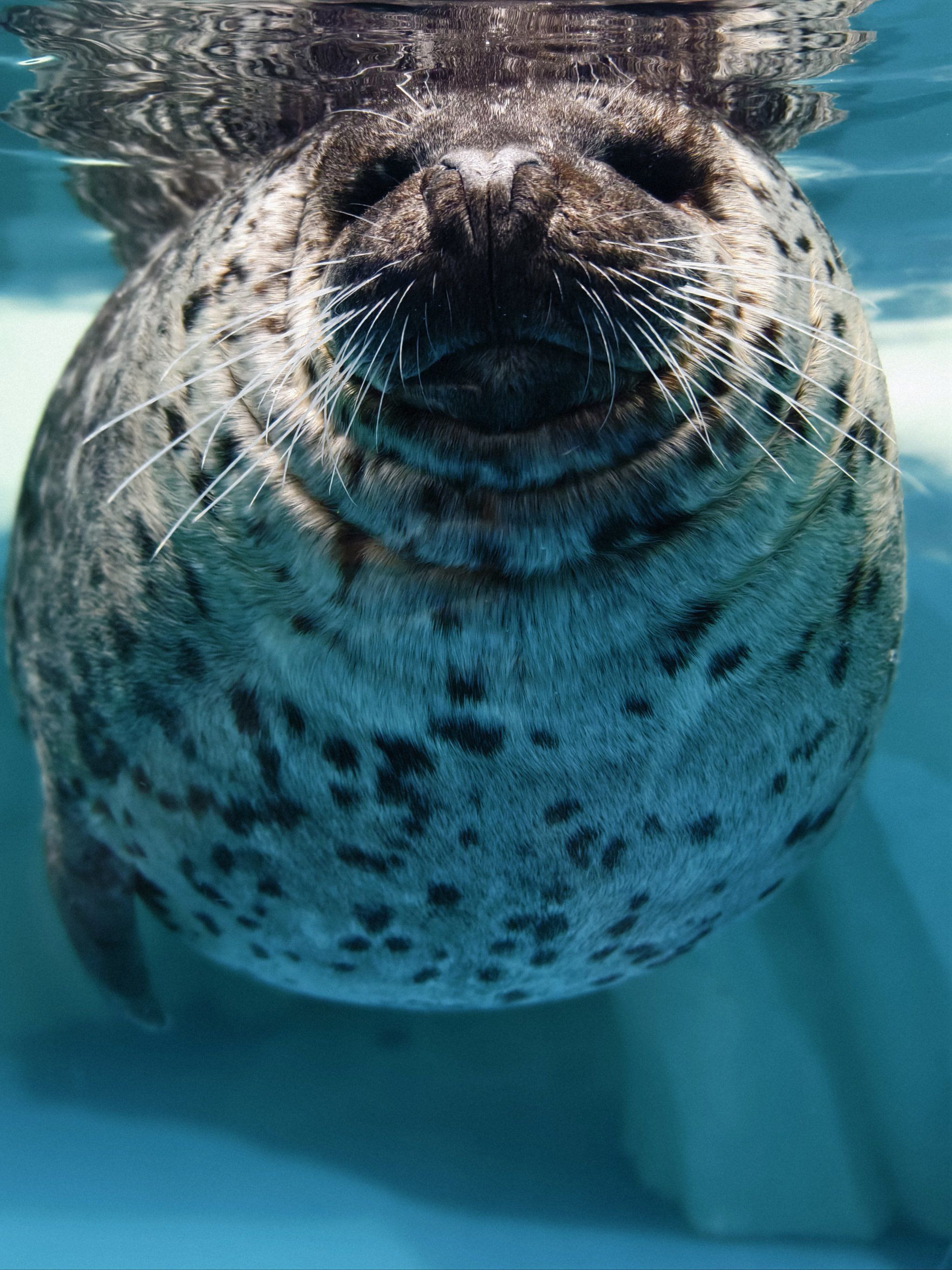 比鼓浪屿海洋世界更棒的水族馆