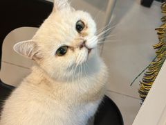 -平行世界·猫咖(首经贸店)
