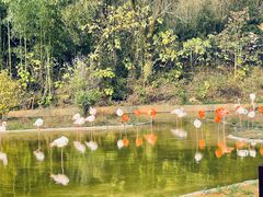 -杭州野生动物世界