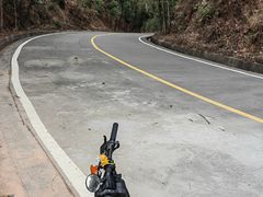 -大屏嶂森林公园