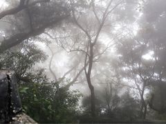 -东部华侨城