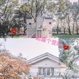 六一一起露营吧   六一儿童节快到了，在家里是不是待