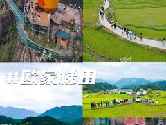 -黄埔油麻山森林公园