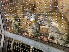 -成都浩海立方海洋公园