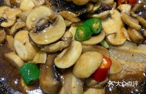 Meat Sauce Small Mushrooms