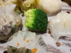 -新兴·金羊座·粤菜点心(乐峰店)