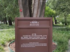 -北京市劳动人民文化宫(太庙)
