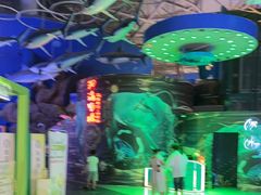 -烟台海昌鲸鲨海洋公园