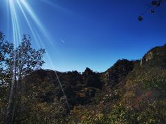 -大岭沟猕猴桃谷风景区