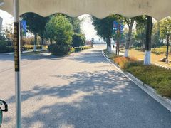 -三垟湿地