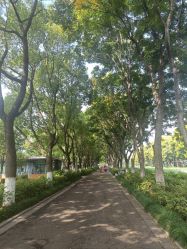 -玄武湖景区-情侣园游乐场