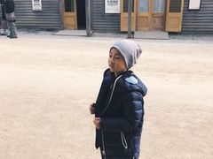 -疏芬山金矿