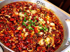 -爱妻鱼•老体北重庆水煮鱼•川菜(白云路店)