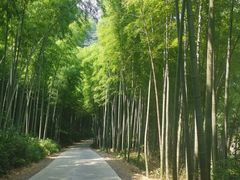 -水墨汀溪风景区