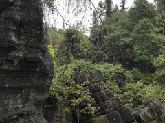 -梭布垭石林景区