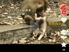 -昆明动物园