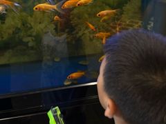-尹兰楼西北风情餐厅(嘉定店)