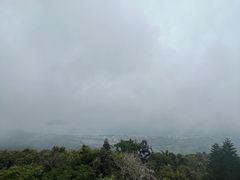 -三亚亚龙湾人间天堂鸟巢度假村