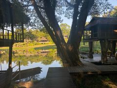 -四季酒店下午茶