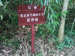 -都江堰中华大熊猫苑