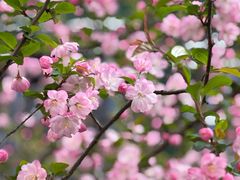 -徐家汇源景区-衡山公园