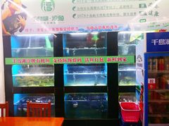 -全乐鱼馆·淳牌有机鱼直营店