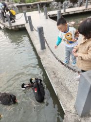 -玄武湖景区-情侣园游乐场