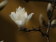 -杭州上天竺法喜讲寺