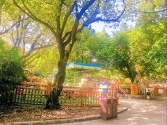 -晓港公园