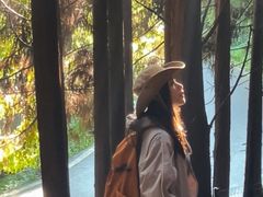 -武陵山森林公园