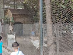 -陕西自然博物馆