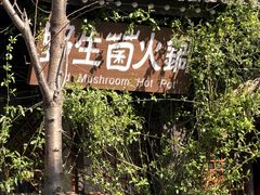 -大理文庙(大理古城)