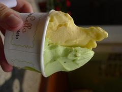-柠檬车露(卖草地店)