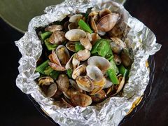 芒果螺-临高吉海土窑