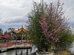 -三塔倒影公园