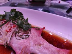 -上海新锦江大酒店