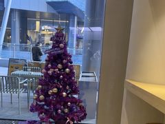 -Seesaw Coffee(西岸凤巢店)