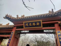 -桃花堤公园