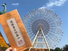 -七彩云南欢乐世界