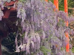 -洛阳市隋唐城遗址植物园