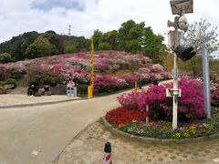 -广州市石门国家森林公园