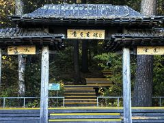 -五营红松林海景区