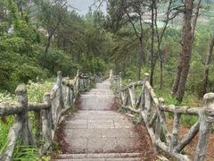 -青龙山国家森林公园