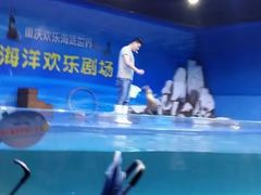 -重庆欢乐海底世界