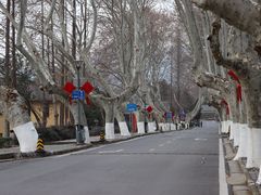 -T80科技文化国际社区-停车场