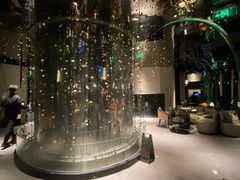-凤园椰珍·臻品椰子鸡(保利时光里店)