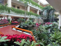 -广州白天鹅宾馆