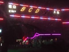 -枫花园汽车电影院(朝阳公园店)