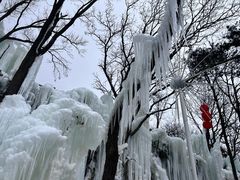 -沂蒙山旅游区云蒙景区(蒙山国家森林公园)